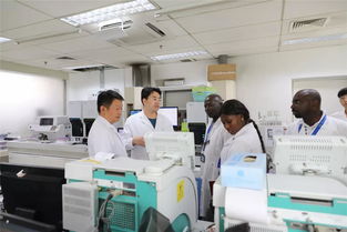 第二批几内亚医务人员在京完成医院管理培训，共筑健康合作新篇章